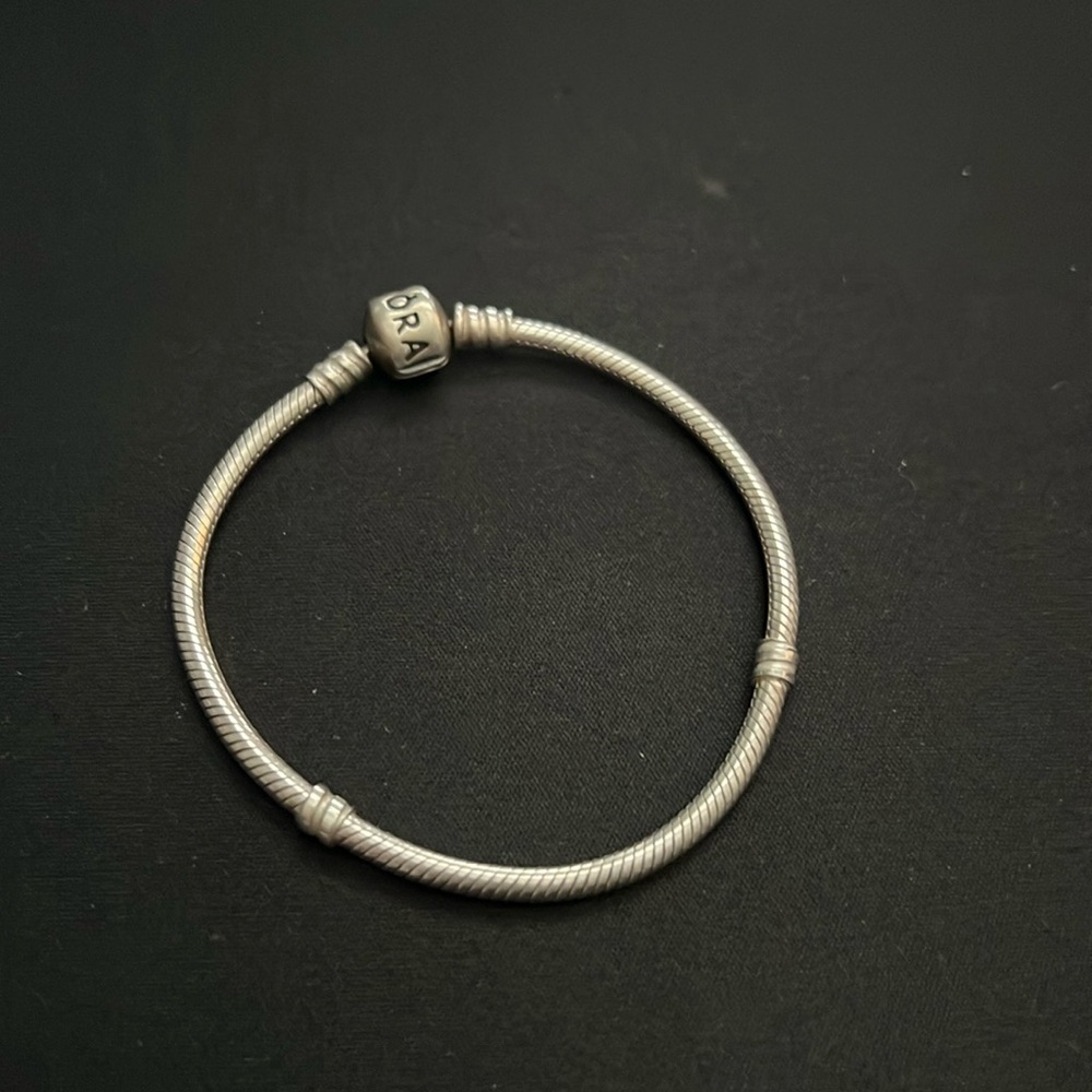 Pandora Charm Bracelet